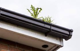 Check spelling or type a new query. How Often Should Gutters Be Cleaned Drh Window Gutter Cleaning