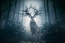 Последние твиты от shadow and bone (@shadowandbone_). Netflix S Shadow And Bone Adaptation Drops First Look Release Date
