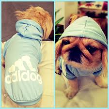Adidog Sweatshirt Bebek Mavisi Http Kemique Com Page Php Id 14 Bebek Mavisi Bebek Kopek Yatagi