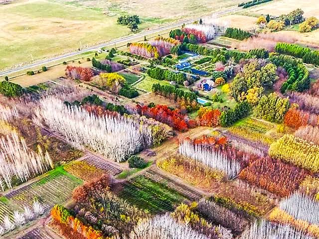 LA PRIMAVERA FLORECE ENTRE UN MILLON DE ARBOLES – Motor Economico