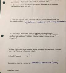 There are many differences between the two cell types. Solved Micro Chapter 3 Worksheet B Prokaryotic Vs Euka Chegg Com
