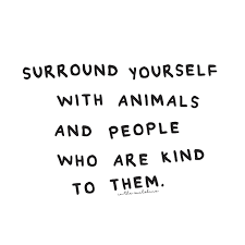 Surround Yourself With Animals And People Who Are Kind To Them Vegan Quotes Animal Lover Quotes Quotes