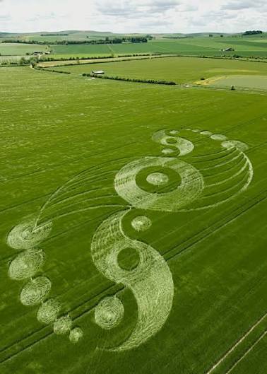 Windmill Hill near Avebury, Wiltshire | 25th May 2009 | Barley L2 -  Temporary Temples
