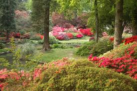 Exbury Gardens Www Freetimehampshire Co Uk Gardens Of The World Famous Gardens Nature Garden