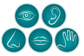 Semua aspek kehidupan telah ditulis di dalam contohnya ada anggota keluarganya yang sedang sakit atau meninggal maka dianjurkan bagi. Indera Keenam Bukan Mitos Sebab Nyatanya Manusia Punya Tujuh Indera Halaman All Kompas Com