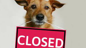 Academy pet hospital fayetteville north carolina. Academy Pet Hospital Home Facebook