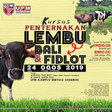 Check spelling or type a new query. Kursus Ternakan Kambing 2017 Malaylaks