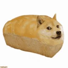 Find the newest dogecoin meme. Doge Gifs Tenor