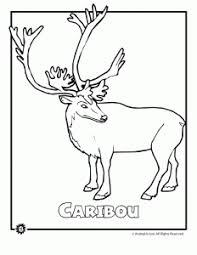 Learn about just a few of the world's 16,000 endangered species before they disappear. Endangered Animals Coloring Pages Animals From North America The Rainforest The Ocean Woo Jr Kids Activities Endangered Animals Animal Coloring Pages Coloring Pages