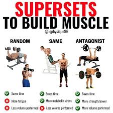 5 Different Types Of Supersets That Increase Muscle Size And Definition Gymguider Com Biceps Workout Exercise Muscle