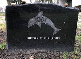 Jodi Lynn LaBelle Liebow (1966-1993)