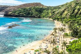 Kids under 12 are free. How Pandemic Related Closures Allowed Oahu S Hanauma Bay To Recover