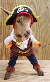 20 Goat Costume Contest Ideas Costume Contest Goats Horse Costumes