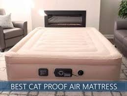 Best Cat Puncture Proof Air Mattresses Updated Reviews For Nov 2020 Mattress Cat Proofing Air Matress
