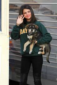 selena gomez and her dog baylor who was adopted from an animal rescue center in canada selena gomez justin bieber and selena selena