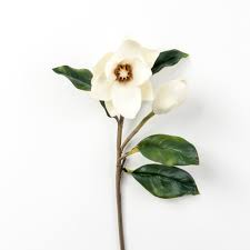Afloral has the largest selection of faux flower stems online. Magnolia Bud And Bloom Stem Magnolia