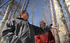 New project tests Ceded Territories for PFAS at request of tribes