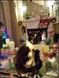 Christmas Cat Gif Funny Goalkitty Stretching Again And Again In A Funny Way Even During Xmas Time Cat Gif Best Cat Gifs Christmas Cats