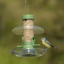 The bird seed is simply poured into an open platform platform feeders also tend to be messy, hard to keep clean and if there is no cover, the bird seed will get wet when it rains or snows. Bird Feeder Rain Guard Rain Away Rspb Shop