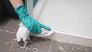 How To Clean And Remove Mouldy Silicone - Bunnings Australia