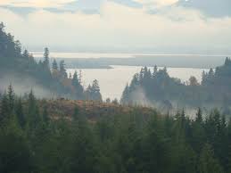 FORESTRY AND WILDLIFE MANAGEMENT—WORKING TOGETHER TOWARD COMMON GOALS