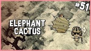 Don't place your backpacks or chests or any flammable items next to the fire pit, since they have a nasty habit of catching on fire if you do. Gathering Elephant Cactus Don T Starve Hamlet Shipwrecked Gameplay Part 51 Youtube