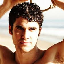 Darren Criss • Northalsted Business Alliance