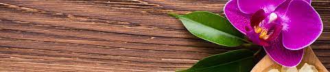 Skin cancer center of central fl ocala, fl. Integrative And Restorative Medical Center Port Charlotte Fl Groupon