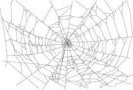 Spider Webs Transparent Spider Web Drawing Web Tattoo Spider Art