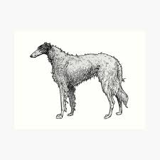 Their very grumpy and very awesome borzoi character. Bee Wulf Art Print By Quinnscritters Redbubble