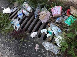 نتیجه جستجوی لغت [litter] در گوگل