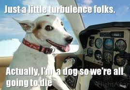 Pin by clean memes on clean memes clean memes, diabetic. Funnydogmemes Funnydogmemes2019 Dogmemes Cutedogmemes Bestdogmemes Http Dogtreatmentpro Com Funny Dog Memes Funny Dogs Funny Dog Captions