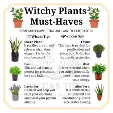 Big Garden Garden Do You Grow Plants At Your Home In 2020 Kruiden Magie Hekserij Natuurlijke Remedies