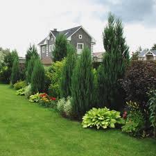 Backyard Landscaping Ideas The Ideal Southern Garden Starts With A Sensation Obtain Influe Privacy Landscaping Landscape Design Backyard Landscaping Designs