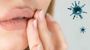 Fito Krem Nedir Fito Krem Nasil Kullanilir Fito Krem Ise Yariyor Mu Guzellik Haberleri 2020 Dogal Cil Yuzler