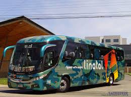 Buses Linatal C Bus Luxury Bus Bus Coach