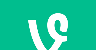 Check spelling or type a new query. Vine Google Search