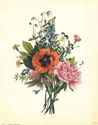 The Old Botanical Garden German Alter Botanischer Garten Is A Botanical Garden A Botanical Illustration Vintage Botanical Illustration Tattoo Flower Drawing