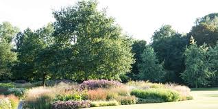 Staudenbeete Von Piet Oudolf Im Maximilianpark Hamm Maximilianpark Hamm Pflanzen Staudenbeet Stauden