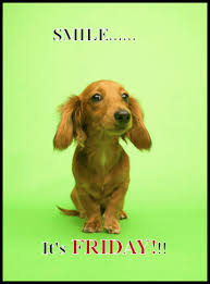 images?q=tbn:ANd9GcTnuC2TCMUjyvbLusnWk3Sx8MsjsKvvoXFN2RP2Zi2U7Bfn7gfv