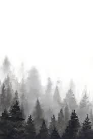 Black And White Nature Artwork Black Forest I In 2020 Black And White Art Drawing Black And White Landscape White Painting