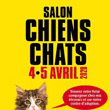 Dirígete a los moderadores de la sala para más información. Salon Chiens Chats Home Facebook