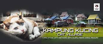 9 ziyaretçi pusat jagaan kucing terbiar ziyaretçisinden 4 fotoğraf ve 1 tavsiye gör. Kampung Kucing Batu Kurau Tempatkan Kucing Jalanan Kacukan Perak Kini