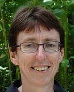 KU Leuven organisational chart