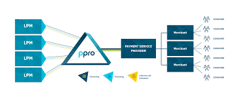 Payment service providers partner with acquiring banks to offer merchants the capability to accept payments. Ppro Helps Payment Service Providers Focus On Their Merchants