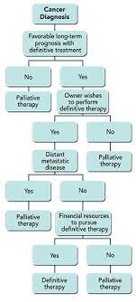 Elements Of Oncology Strategies For Managing Cancer Pain In Dogs Cats