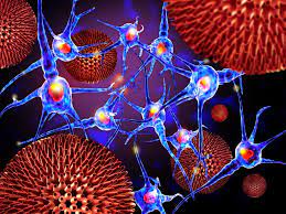 An autoimmune disease is a condition arising from an abnormal immune response to a functioning body part. Ricercatori Scoprono Il Potenziale Innesco Genetico Della Malattia Autoimmune Sistemica Medimagazine