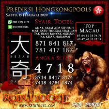 Prediksi Bocoran Hongkong Sabtu 15 Februari 2020 Di 2020 Babi Kecil Sydney Permainan Angka