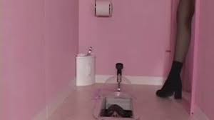 Search Results for japanese toilet slave