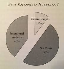 The Happiness Pie Joyfully Participating